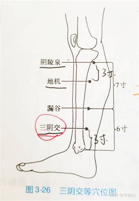 三皇穴位置